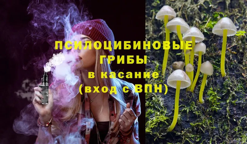 Галлюциногенные грибы Psilocybe  как найти закладки  Котельнич 